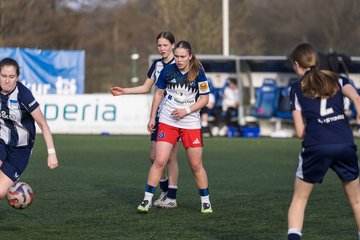 Bild 452 - wBJ Hamburger SV - Hertha BSC : Ergebnis: 2:1